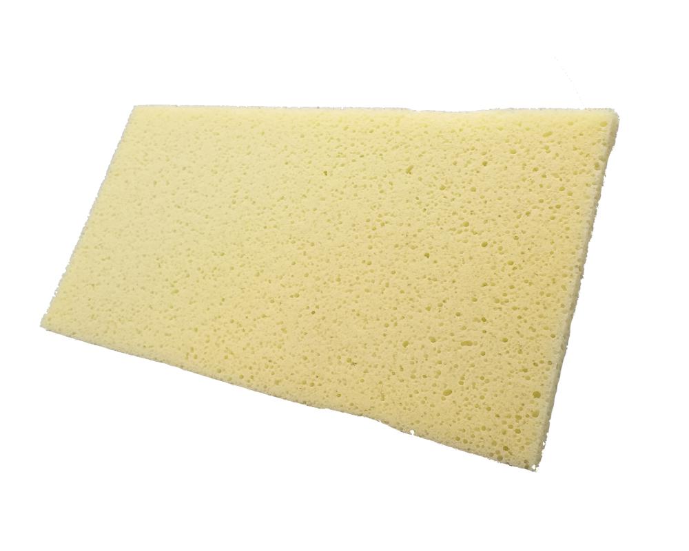 Hydro-Schwammscheibe 1cm - Schwammscheibe 1cm Hydroschwamm
